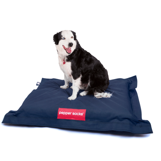 cama de perro cama de perro